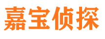 朝天市私家侦探